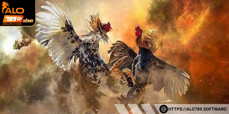 Những bí quyết nền tảng dành cho người chơi nhằm nâng cao cơ hội