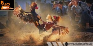 Hướng dẫn các bước tham gia nhanh chóng và tiện lợi cho người chơi