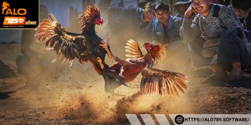 Hướng dẫn các bước tham gia nhanh chóng và tiện lợi cho người chơi