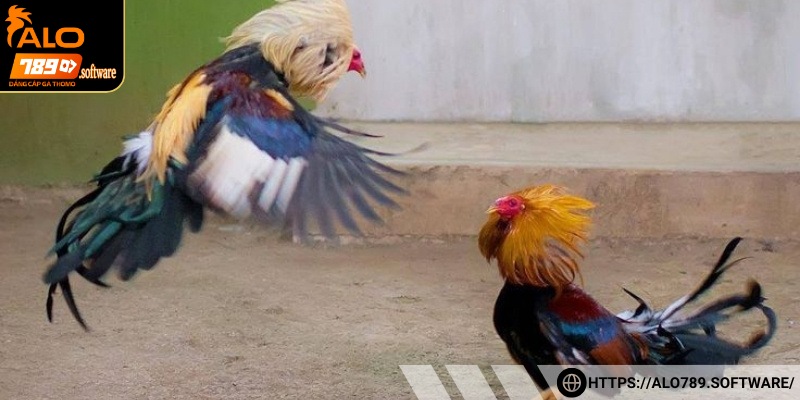 Những bí quyết giúp bạn giải trí thành công và tăng cơ hội thắng