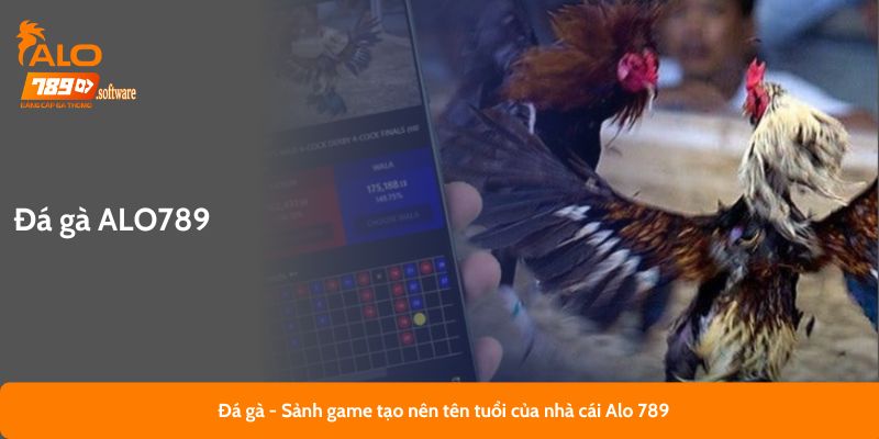 Đá gà - Sảnh game tạo nên tên tuổi của nhà cái Alo789