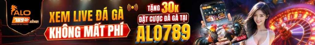 ALO789 - Đá Gà Thomo Trực Tiếp Uy Tín Bảo Mật Số 1 2025